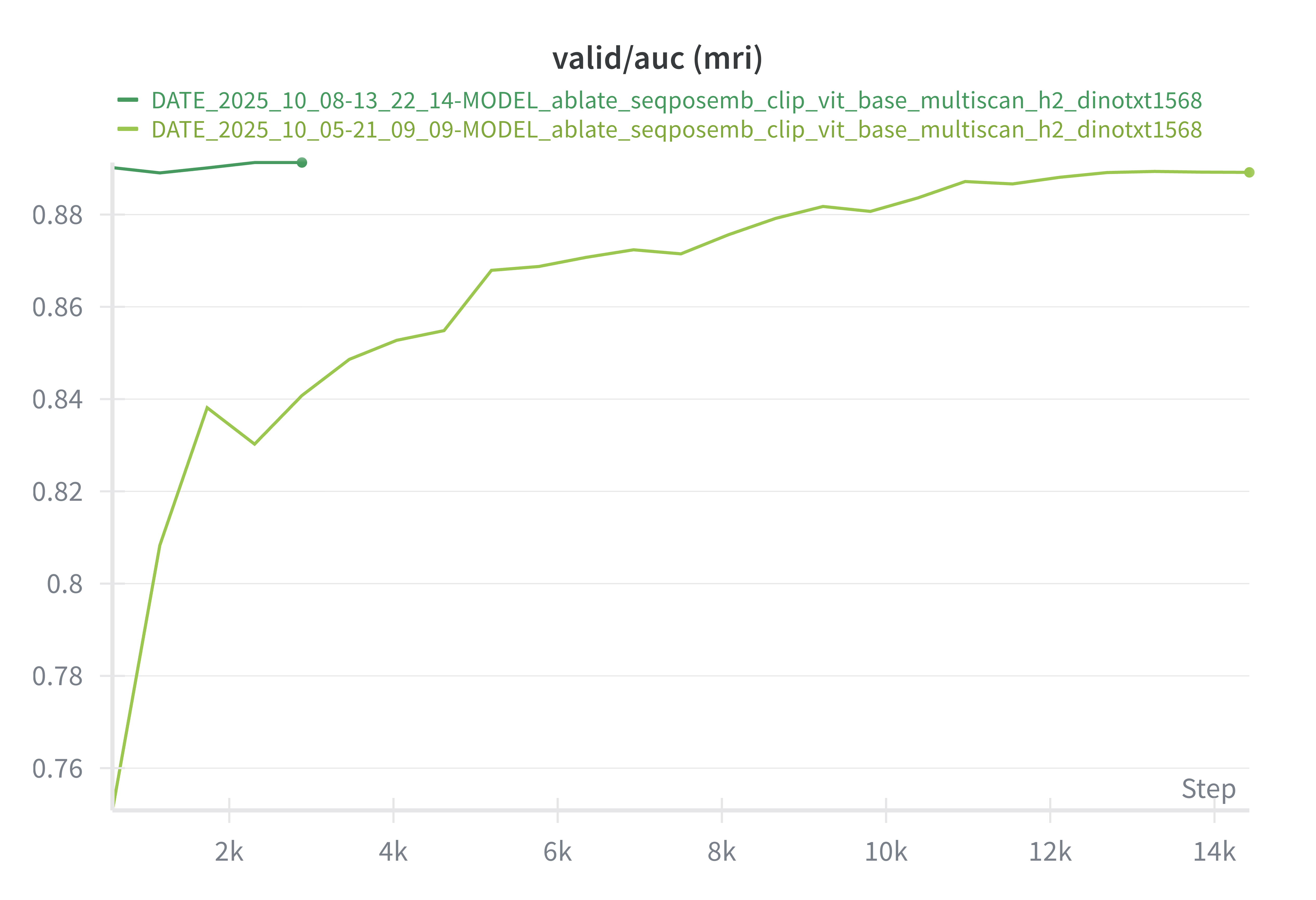 unmasked finetune mri